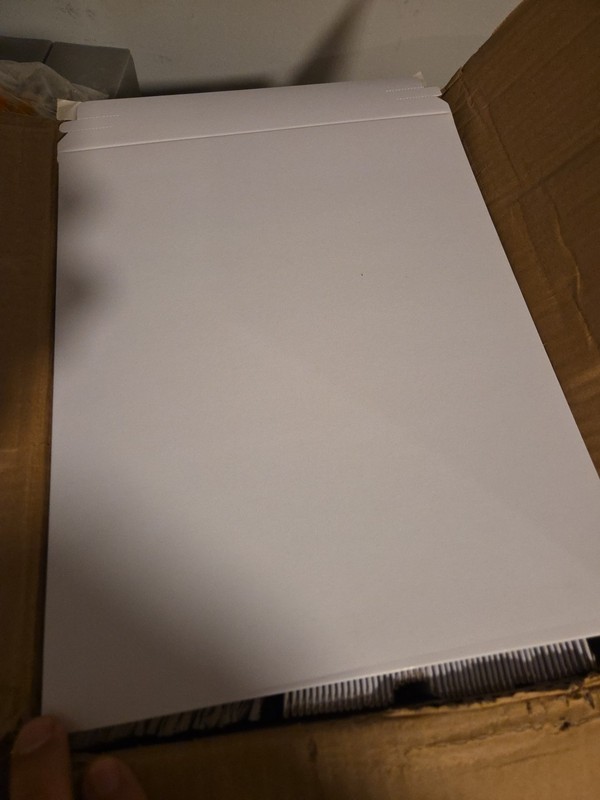 LuxMailers FBLUX-4W Flatboard Mailers, White, #4 9-3/4″ X 12-1/4″, 100 Case