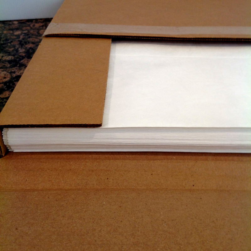 Box of 25 Quality Park Survivor QUAR5101 Tyvek Catalog Mailers 13" x 19" White gallery