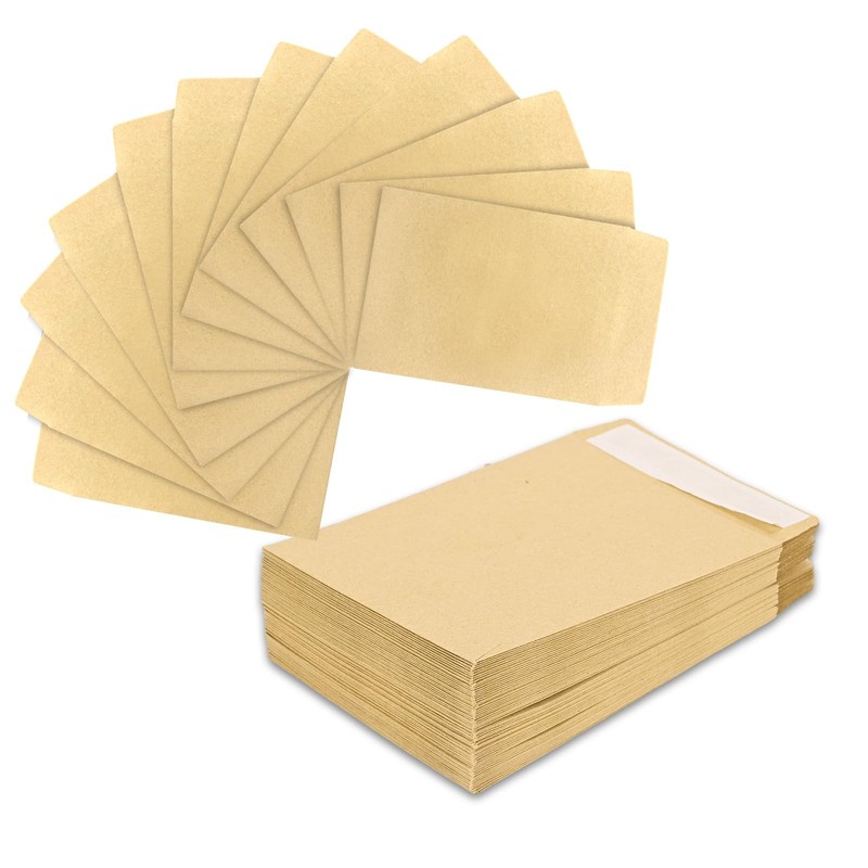 100 Pcs 6.5 x 3.5 Inch Seed Money Envelopes for Cash Cards Small Items Storage