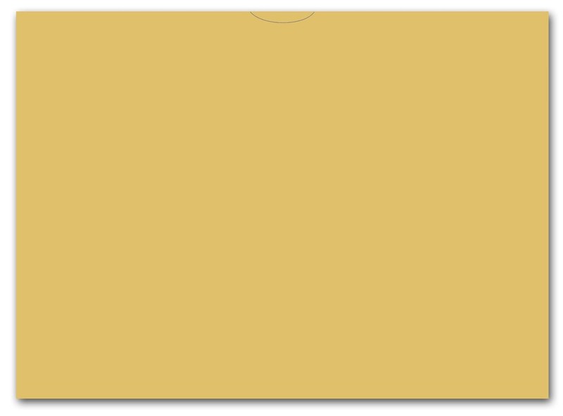 Plain Blank Vehicle Deal Envelopes 9×12 Deal Jackets (100 shrink wrapped) (Buff)