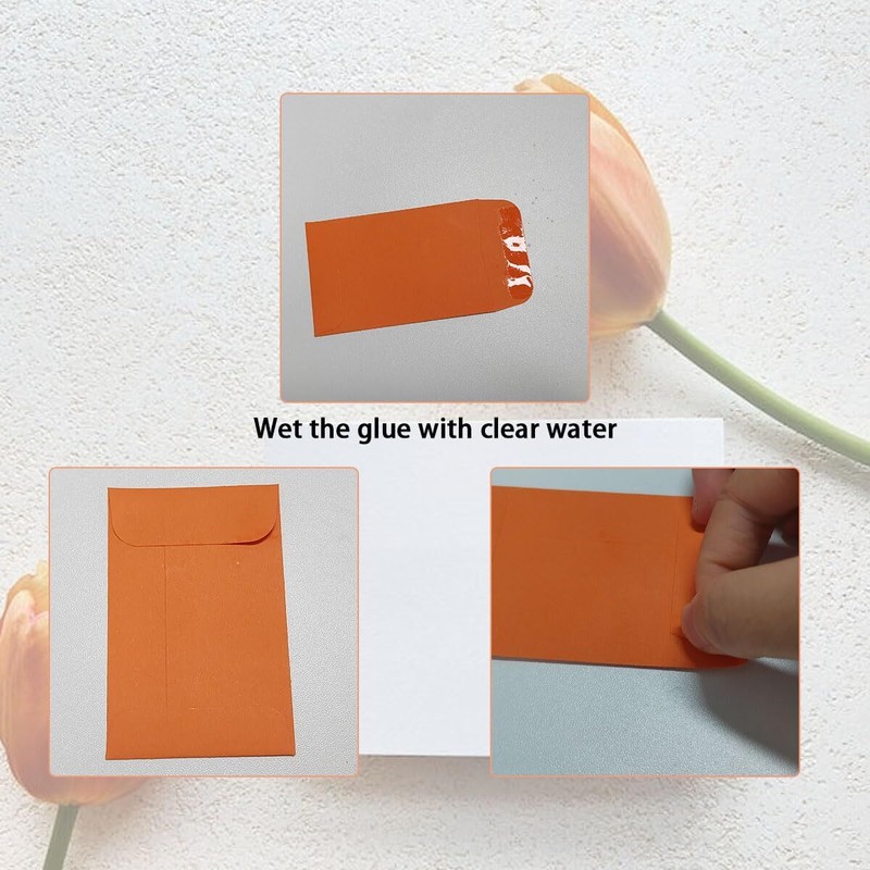 100 Pack Colorful Coin Envelopes Small Seed Envelopes Mini Parts Storage Packets gallery