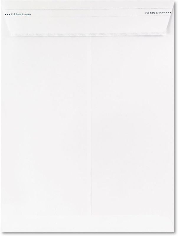 Fastrip Security Catalog Envelope, 9 Inch X 12 Inch, Peel & Seal Adhesive, Secur