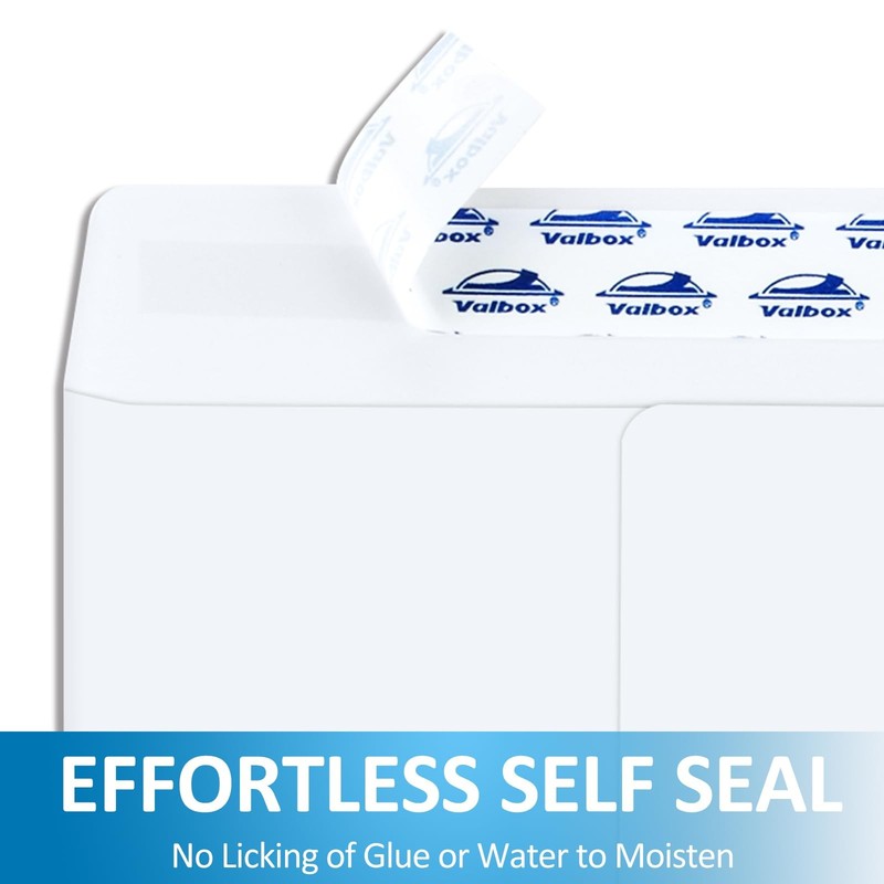 6x9 Self Seal Security Catalog Envelopes 250 Count Small White Envelopes for ... gallery