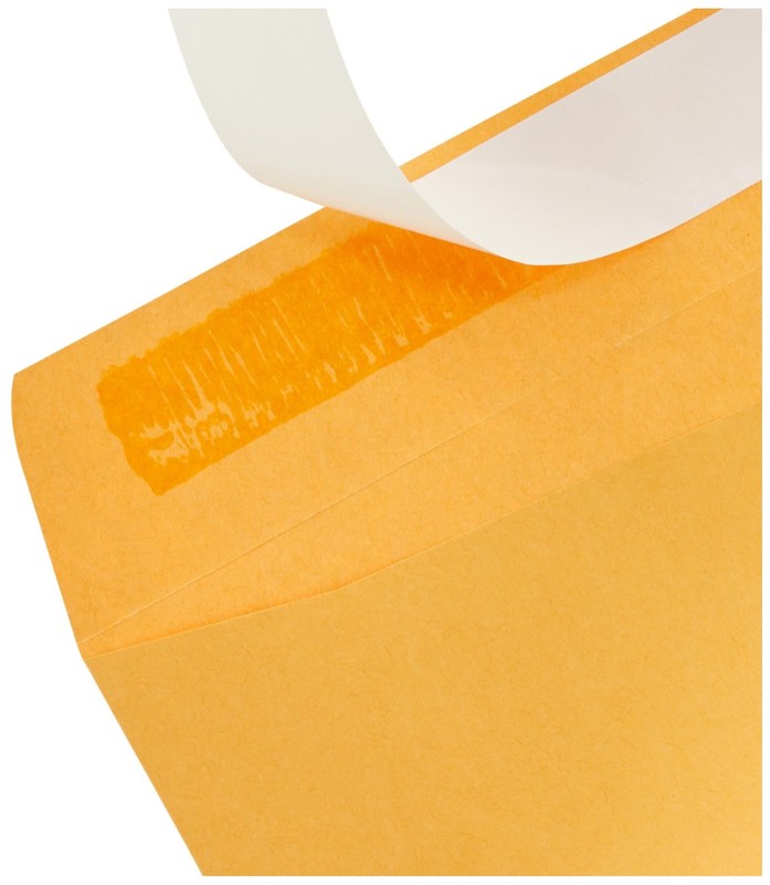 Manilla Envelope 6x9 Manila Self Stick Mailing Safe Security Business No.1 100pk gallery