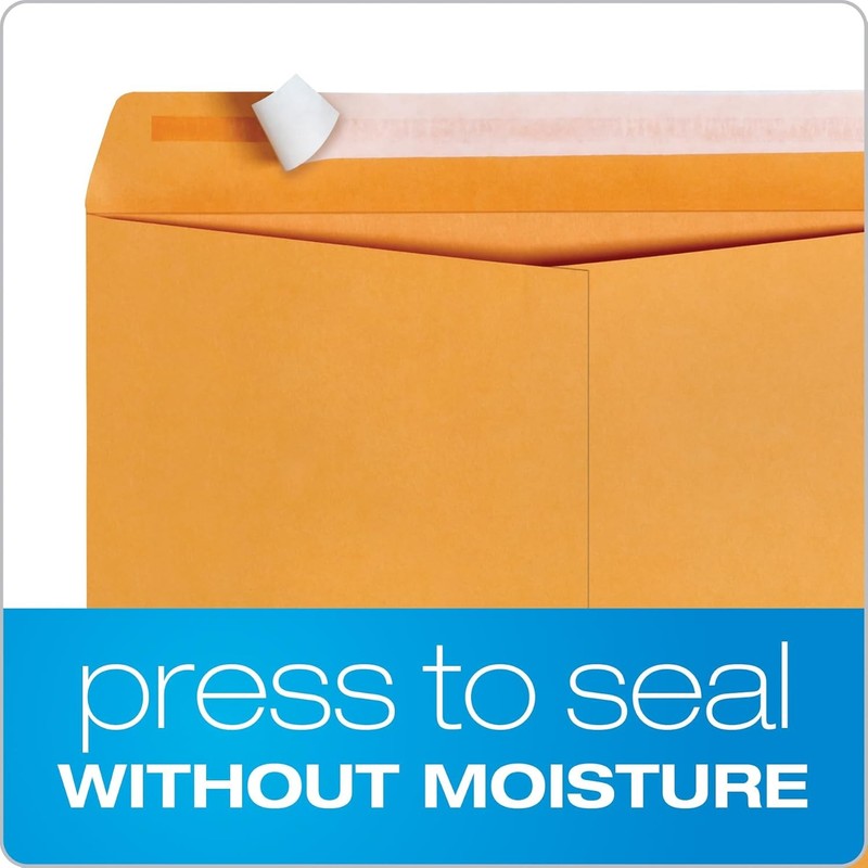10 x 13 Catalog Envelopes Self Seal Brown Kraft 28lb Manila Business Large gallery