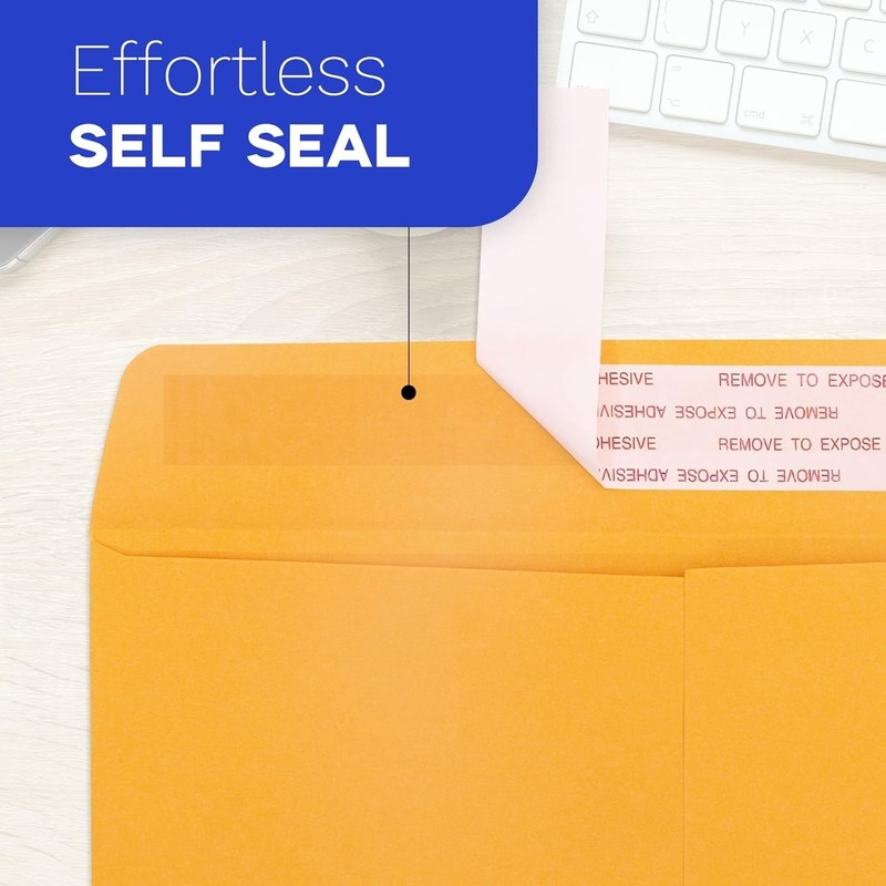 Manila Envelopes Self Seal 6x9 Brown Kraft 250 PCS Mailing Office gallery