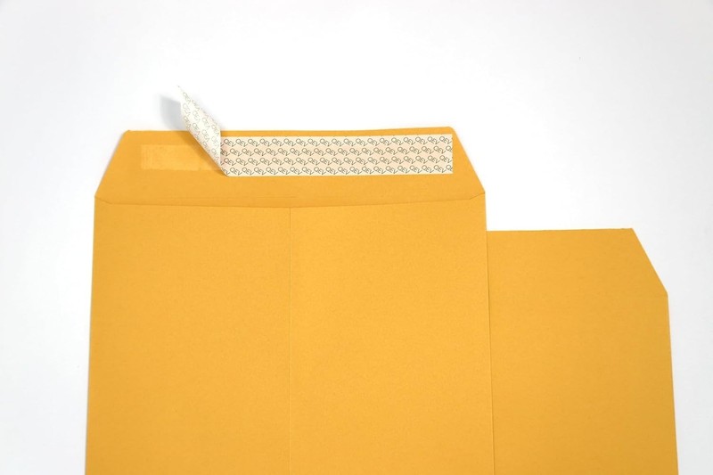 Eco-Friendly Bulk Pack of 100 Self-Seal Manila Envelopes 9x12 for Business gallery