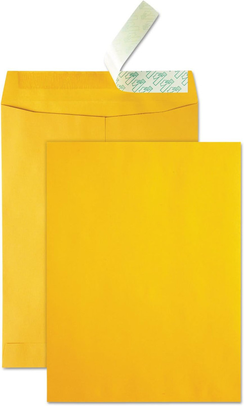 High Bulk Catalog Envelope, 9 X 12 Inches, Kraft, Redi-Strip, Box of 250 (41420) gallery