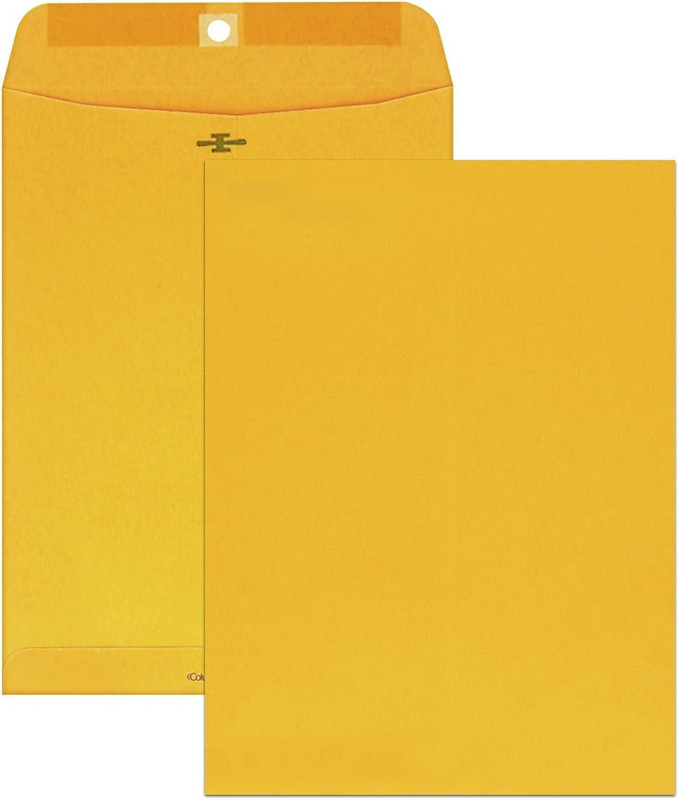 Clasp Envelopes, 9 X 12 Inches, Brown Kraft, 100 per Box (CO790)