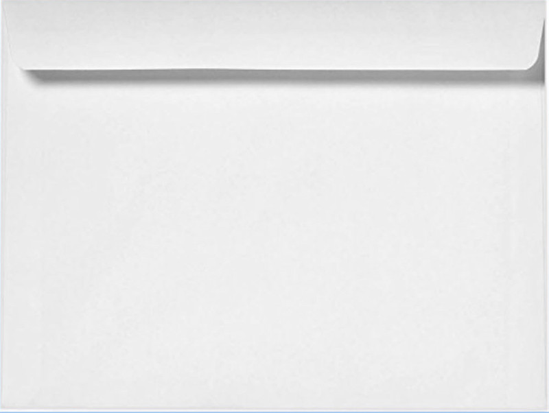 500PCS 9″ x 12″ Security Tint Booklet Envelopes Fits Unfolded 8.5″ x 11 Document