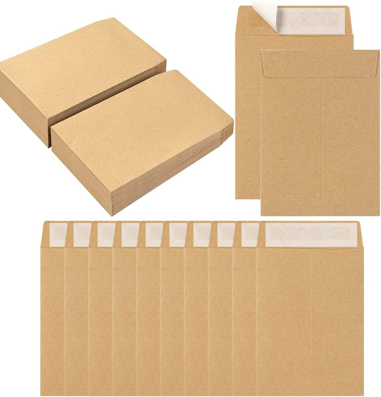 100 Pack Seed Envelopes Self-Adhesive Small Coin Envelopes Seed Storage Packets