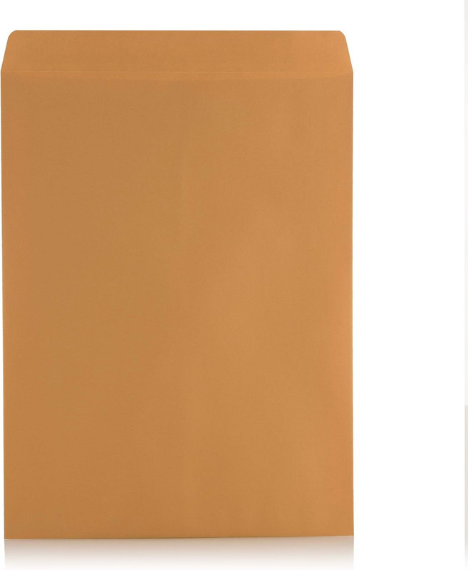 100 10 X 13 Self-Seal Brown Kraft Catalog Envelopes - 28Lb, 100 Count, Ultra Str gallery
