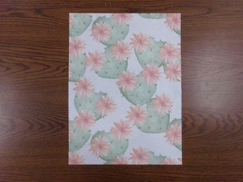 20 FLOWERING CACTUS 14×17 Mailers Poly Shipping Envelopes Boutique Bag