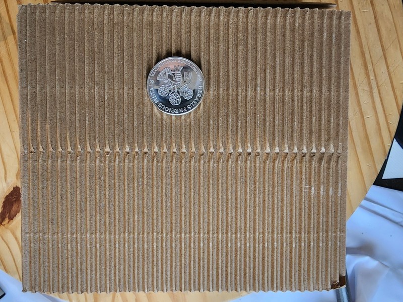 10-Self Adhesive Corrugated Coin Protection Mailers for #10 Envelope