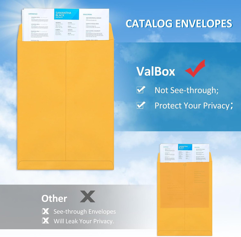 6X9 Self Seal Catalog Security Envelopes 250 Count Small Brown Kraft Envelopes f gallery
