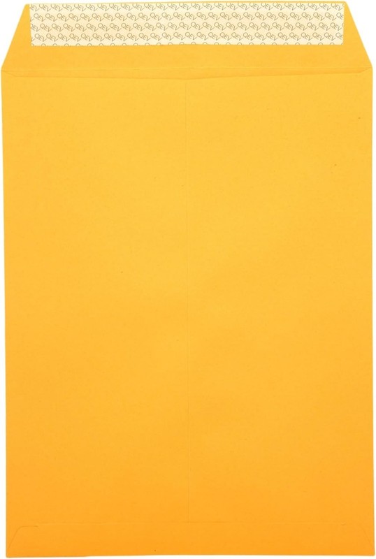 Eco-Friendly Bulk Pack of 100 Self-Seal Manila Envelopes 9x12 for Business gallery
