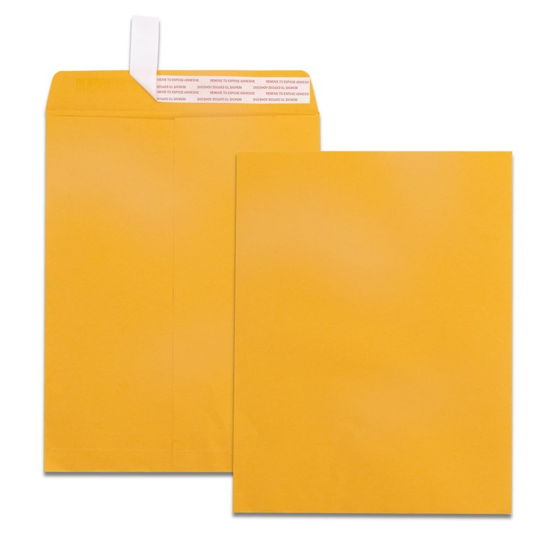 100 Pack Self Seal Manilla Envelopes 10×13, Creebe Catalog Brown