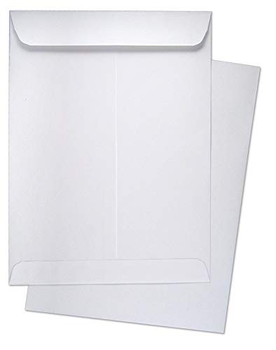 500 Minas Envelope – 6×9 Catalog Envelopes, Open End with Gummed Seal, 24lb W…
