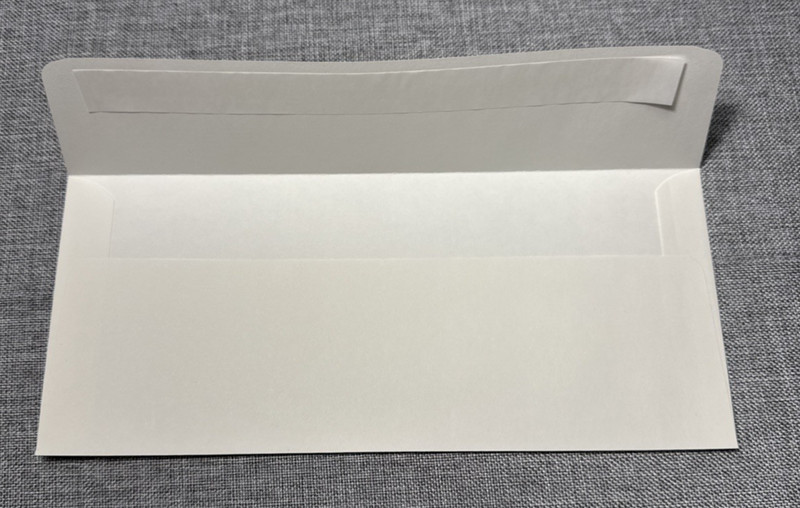 80 lb LUX Envelopes # 10 4 1/8 x 9 1/2 Square Flap Quantity = 500