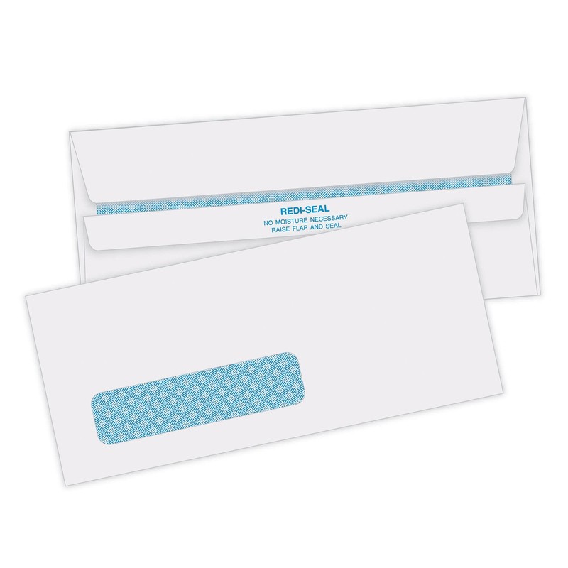 Park #10 Left Window Security Tinted Envelopes with a Self Seal Closure for Stan