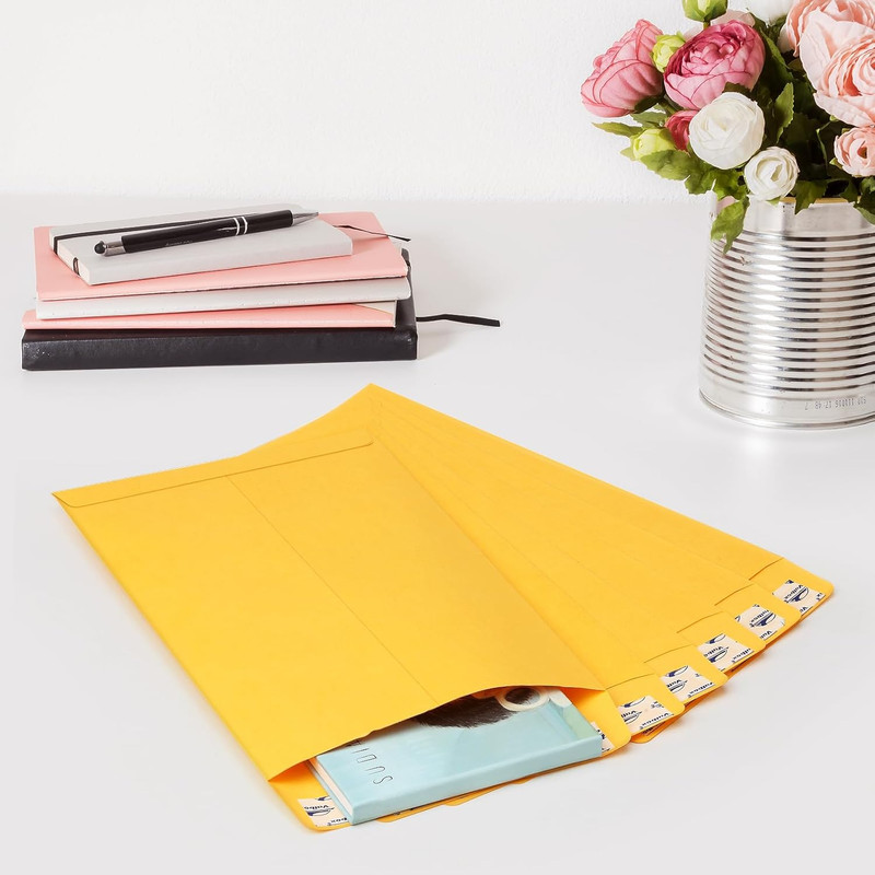 Valbox 6X9 Self Seal Catalog Security Envelopes 250 Count Small Brown Kraft Enve gallery