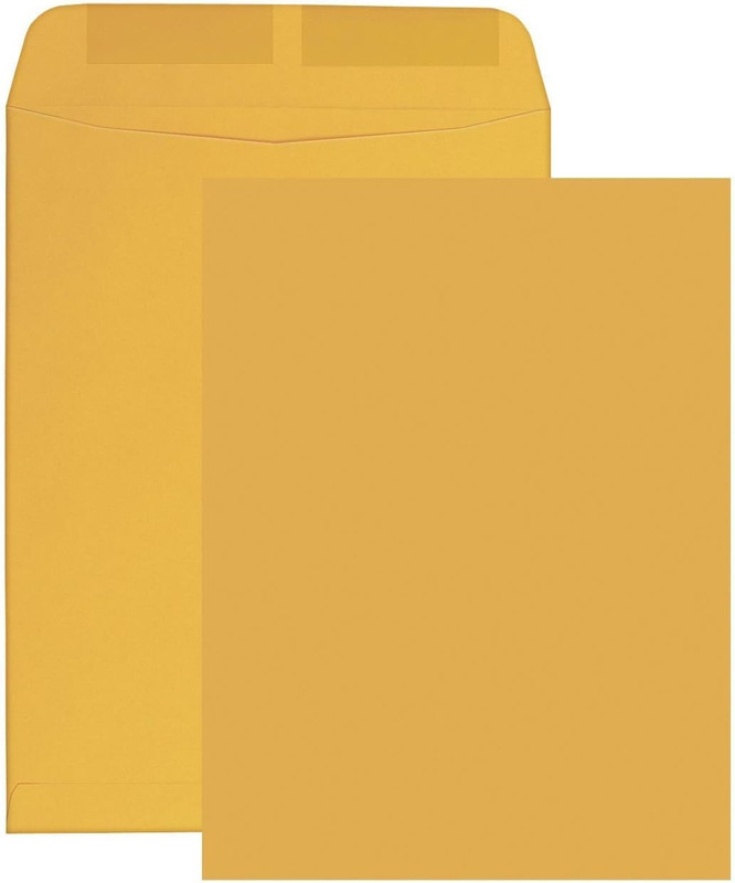 500 s 6 X 9 Catalog Envelopes (Open End), Sturdy 24Lb. Paper, Strong Gum Flap, 5 gallery