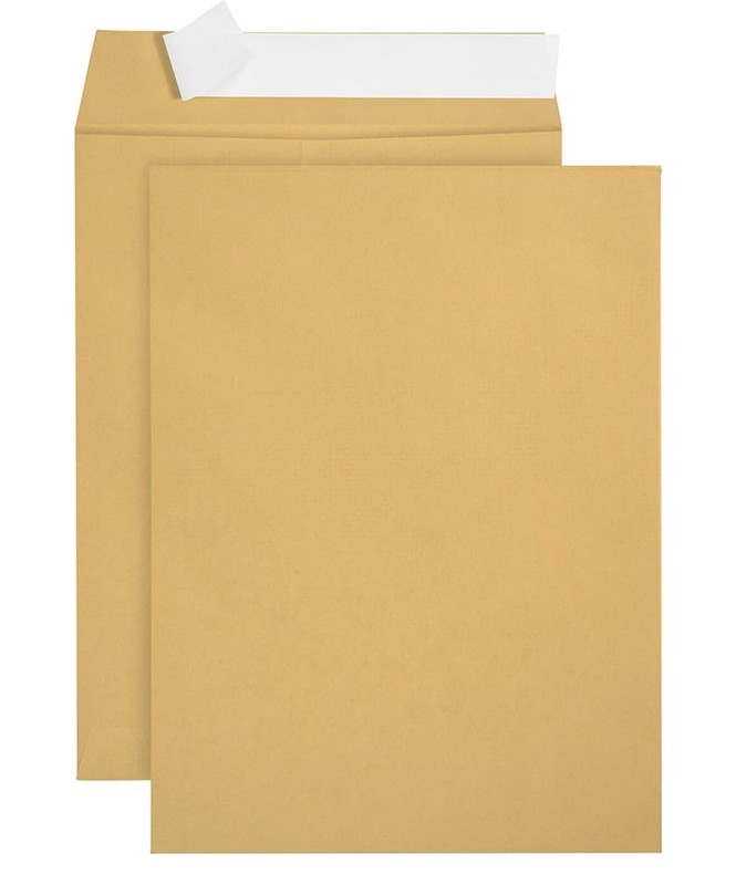 20 PCS -9x12 Kraft Brown Self Seal Catalog Envelopes with Peel Mailing