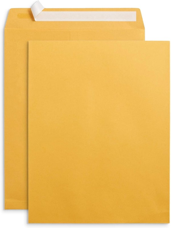 Blue Summit Supplies 100 10” x 13” Catalog Envelopes, Self 10 x 13,