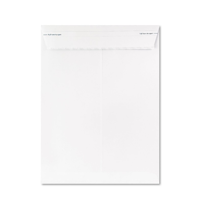 Fastrip Security Catalog Envelope 9 Inch x 12 Inch Peel & Seal Adhesive Secur…