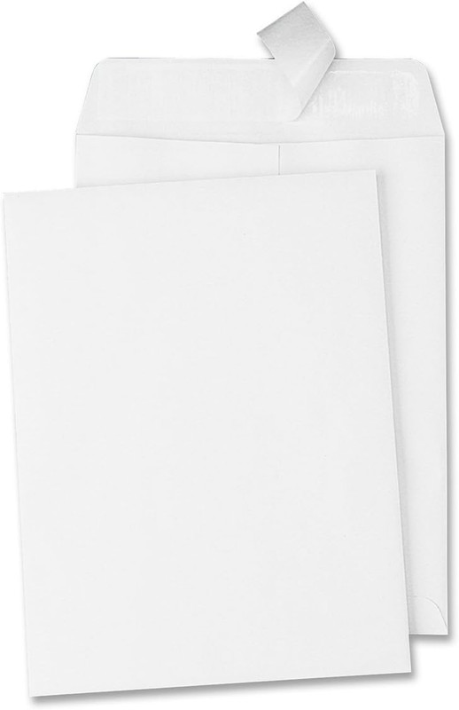 100Ct 6×9 Catalog Envelopes Self Seal Peel Strip 28 Lb White Wove