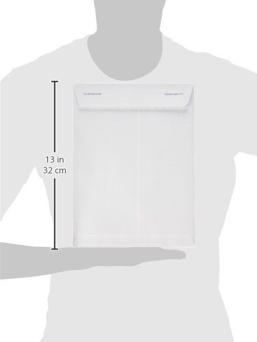 Fastrip Security Catalog Envelope 9 Inch x 12 Inch Peel & Seal Adhesive Secur... gallery
