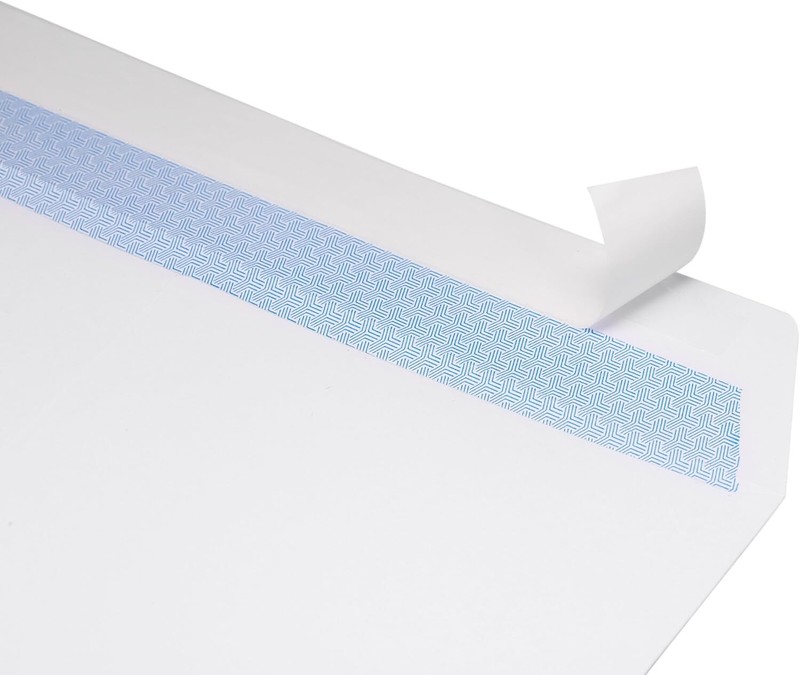 500 Blue White Double Window Self Seal Envelopes 418 X 912 Inches Security Tint gallery