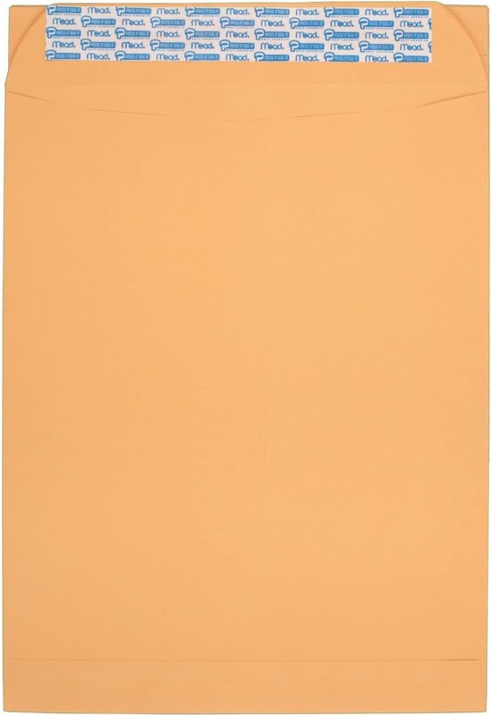 Professional 10x13 Brown Kraft Self-Seal Envelopes - 20 Count Office Essentials gallery