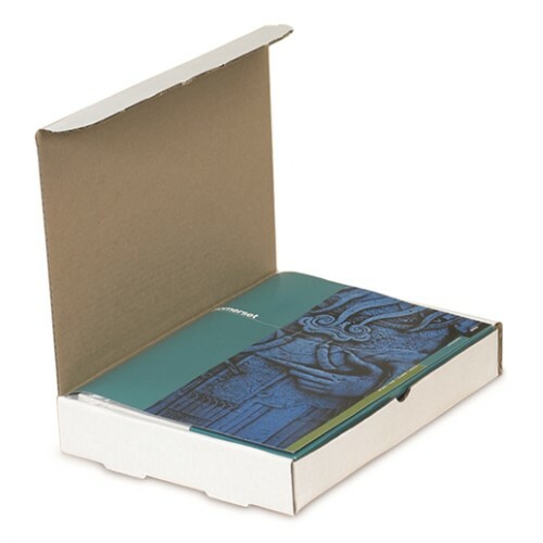 100 - 11 1/8x8 3/4x4" Protective Literature Mailer- White