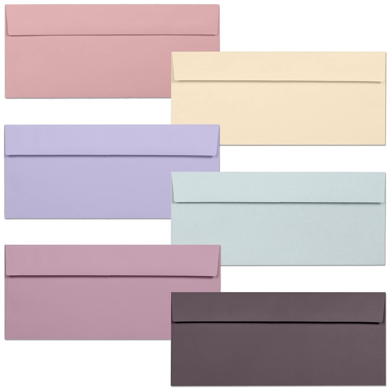 Business Envelopes, 120-Pack #10 Envelopes, 4 1/8 x 9 1/2 Inches, 6 Muted Pas...