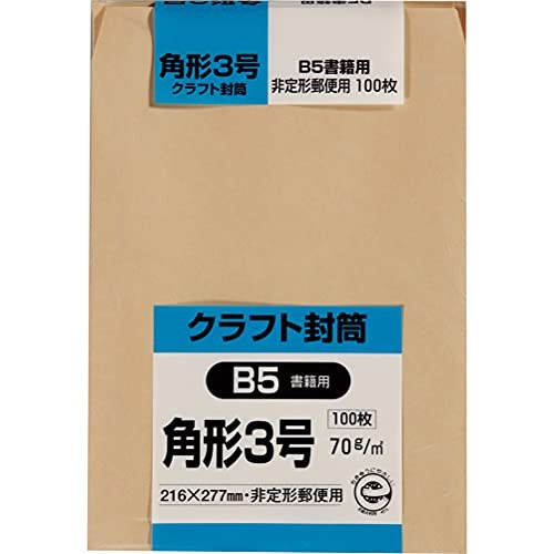 King Corporation Envelopes Kraft Paper Square Size 3 100 envelopes 70g K3K70from