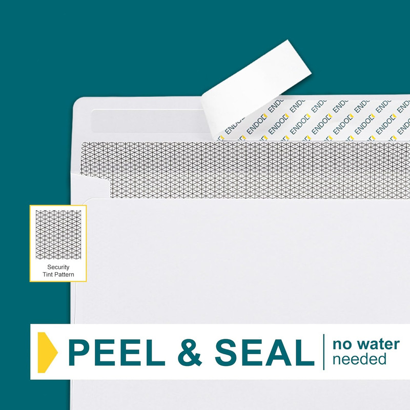 500 9 Double Window Envelopes Self Seal 3 7/8 X 8 7/8″ Security Tinted Invoices
