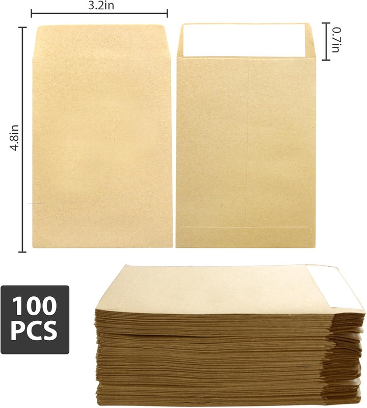 100 Pack Small Seed Saving Envelopes Bulk Blank Paper Coin Packets 3.23"×4.53" gallery
