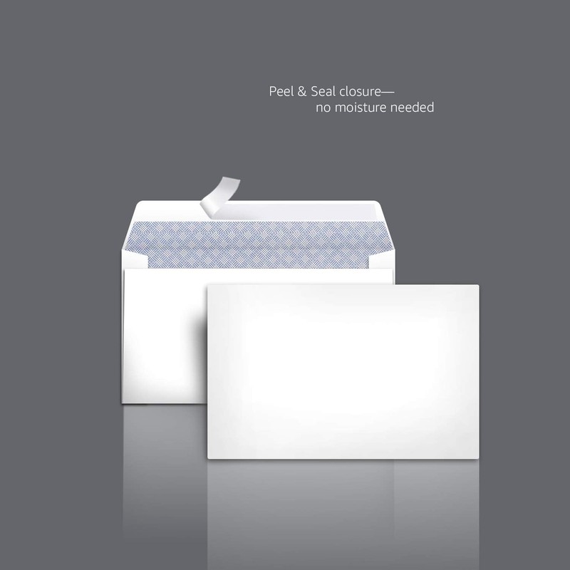 Amazon Basics Security Self-Seal Mailing Envelope, White, 6 100-Pack, White gallery