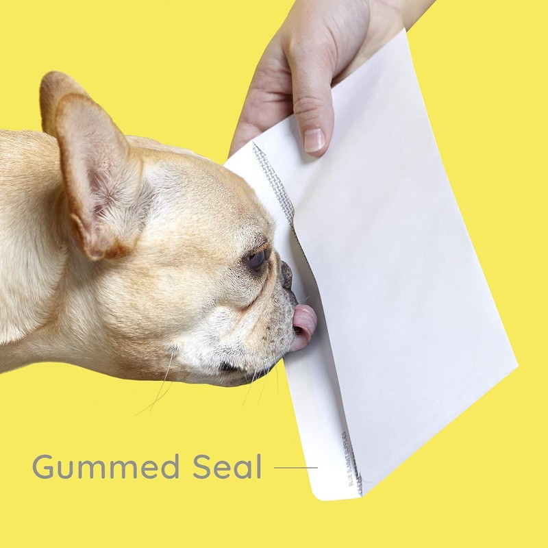 500#8 Gummed Double Window Security Check Envelopes - Designed for Quickbooks Ch gallery