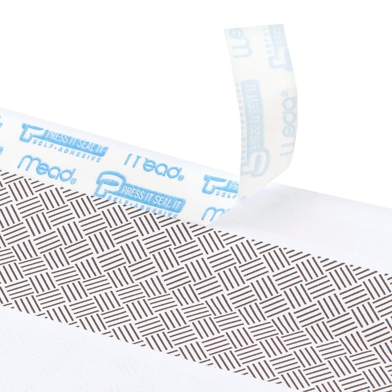 Letter Size Security Envelopes 4-1/8" x 9-1/2", Self-Seal, Window, 500 Count gallery