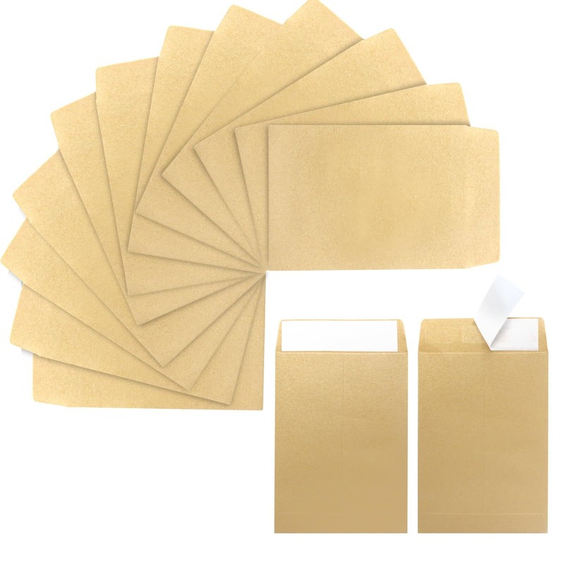 100 Pack Fully Sealed Seed Envelope Small Coin Envelopes for Office Home School