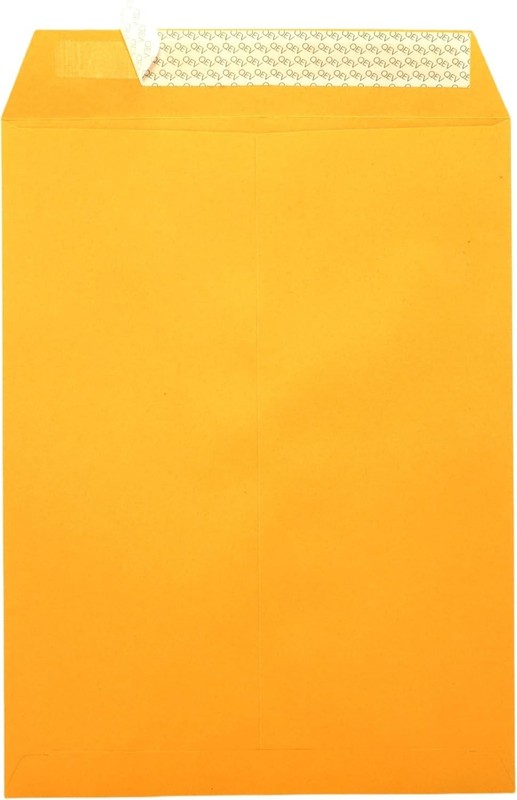 Eco-Friendly Bulk Pack of 100 Self-Seal Manila Envelopes 9x12 for Business gallery