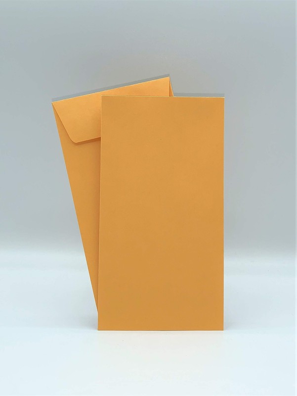 Coin / Cash / Small Parts #7 Kraft Envelopes, 3-1/2″ X 6-1/2″, 24lb, 500/box