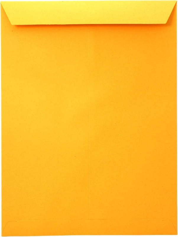 Eco-Friendly Bulk Pack of 100 Self-Seal Manila Envelopes 9x12 for Business gallery