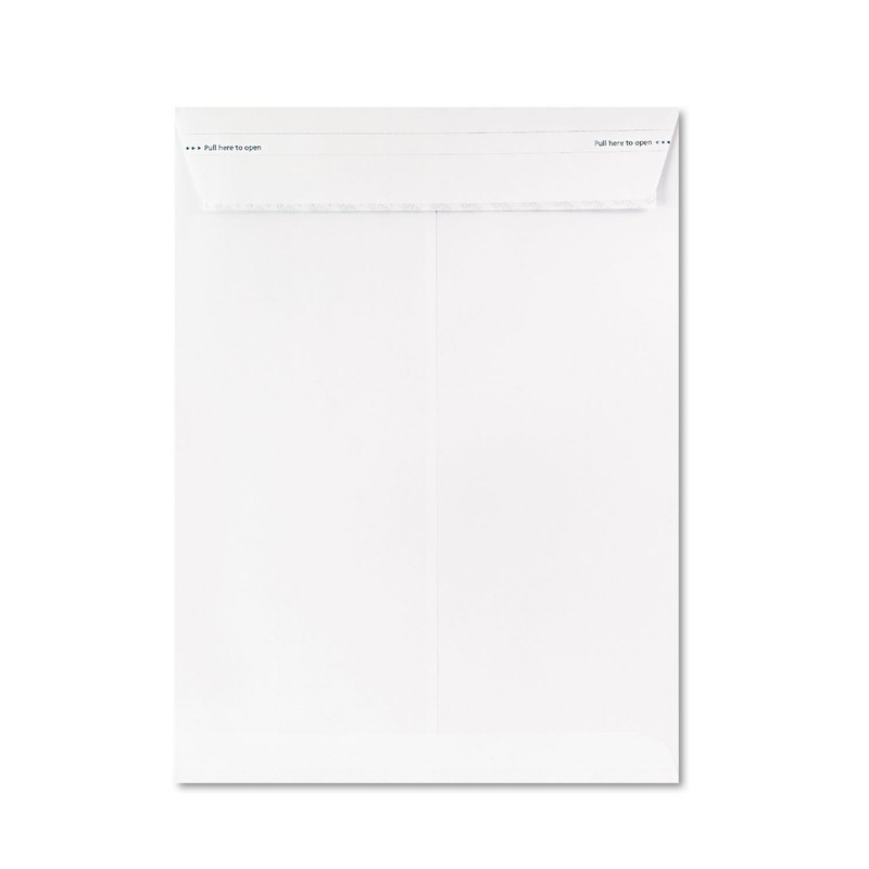 Fastrip Security Catalog Envelope, 9 Inch x 12 Inch, Peel & Seal Adhesive, Se…