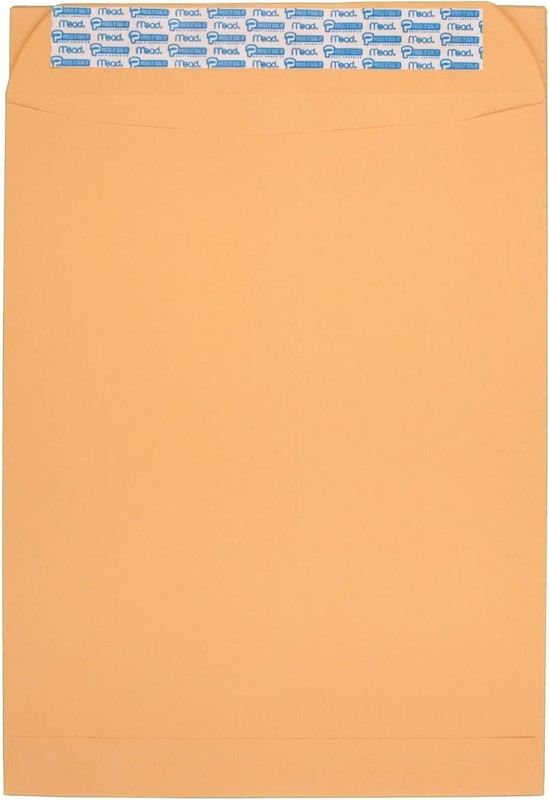 Press-It Seal-It Envelopes, 10 x 13 Inches, Office Pack 20 Count 76088 gallery