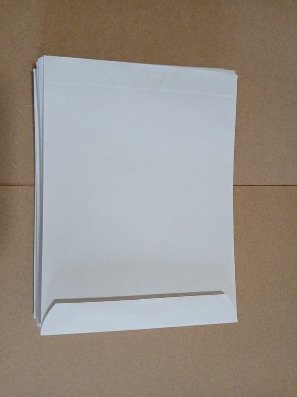 100 Pieces of 9 x 12 White Catalog Envelopes, 24w(90gsm), Lick to Seal. gallery