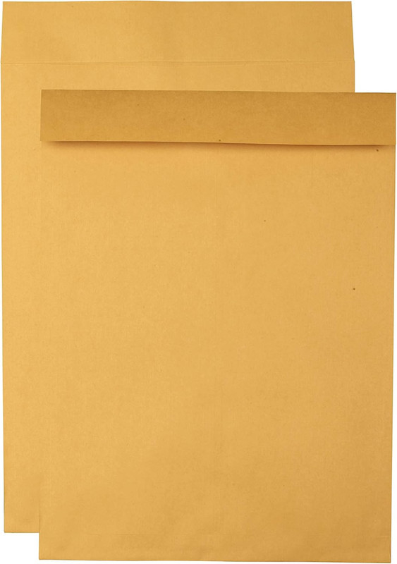 Jumbo Kraft Envelopes, 17 X 22, Ungummed Catalog Envelopes for Storing and Organ gallery