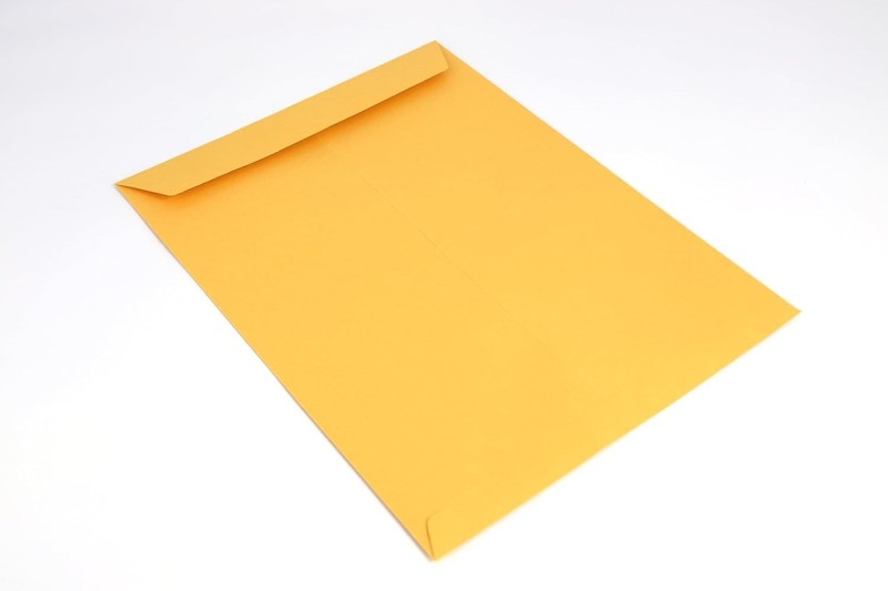 Eco-Friendly Bulk Pack of 100 Self-Seal Manila Envelopes 9x12 for Business gallery